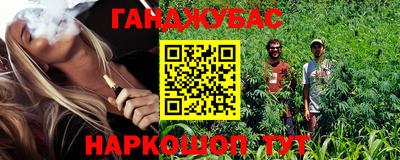 apvp Можга