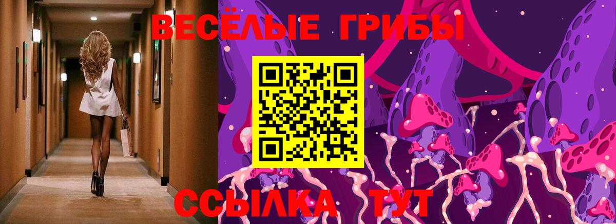 Галлюциногенные грибы GOLDEN TEACHER  Вход с VPN  где купить наркоту  Гагарин 